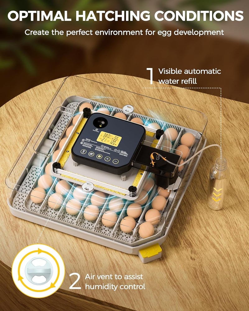 Besly 48 Egg Incubator for Hatching with Automatic Egg Turning and Humidity Control, Egg Candler, Poultry Egg Incubator for Chicken, Ducks, Goose, Pigeon, Quail, ideal for Farm, Classroom, Home - Image 5